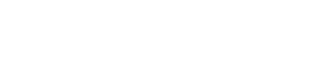 Little Guy Racing Parts logo