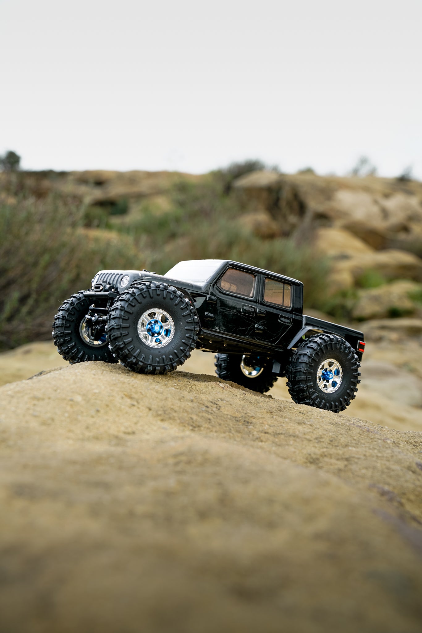 LGRP SWAMP KING M/T 1.0