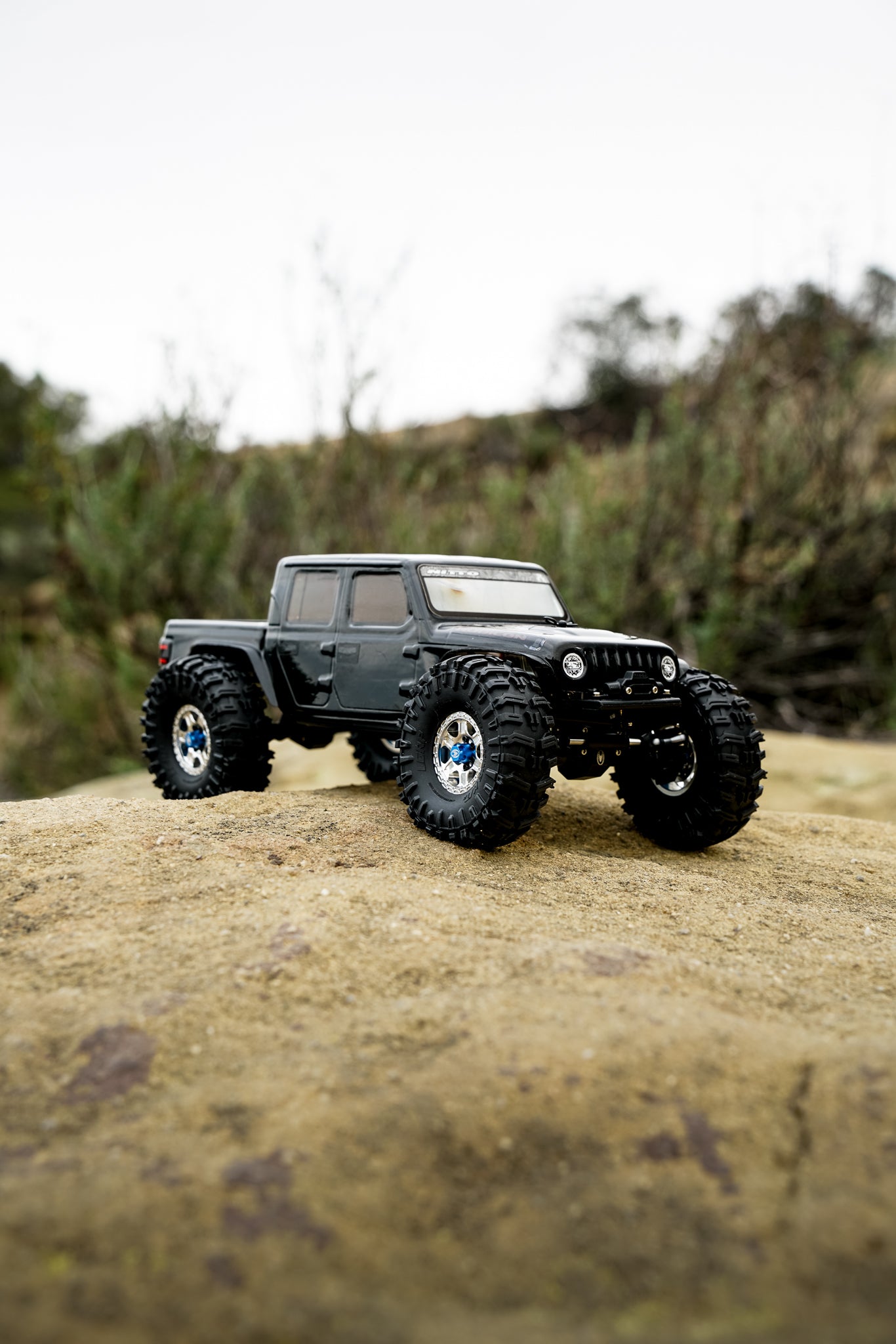 LGRP SWAMP KING M/T 1.0